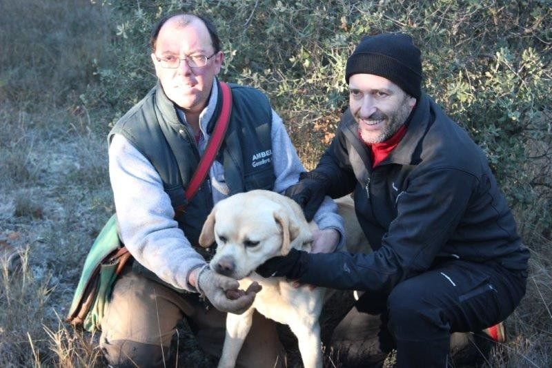 Dos hombres agachados con un perro labrador en el monte, en una de las jornadas de la trufa de El Molino de Berola